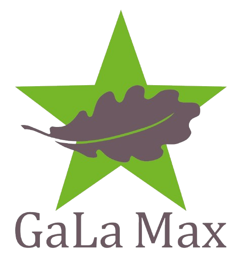 logo gala max removebg preview (1)