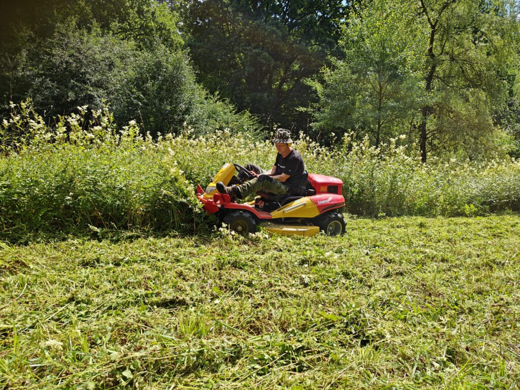 whatsapp image 2026 02 14 at 13.43.42(4)